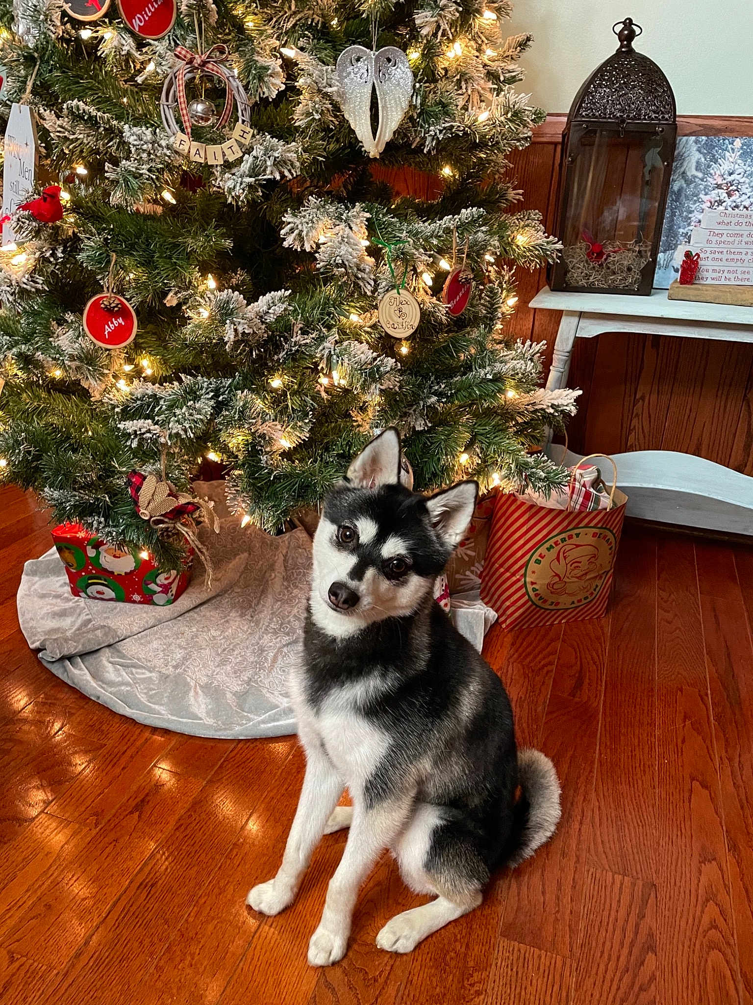 Kimber