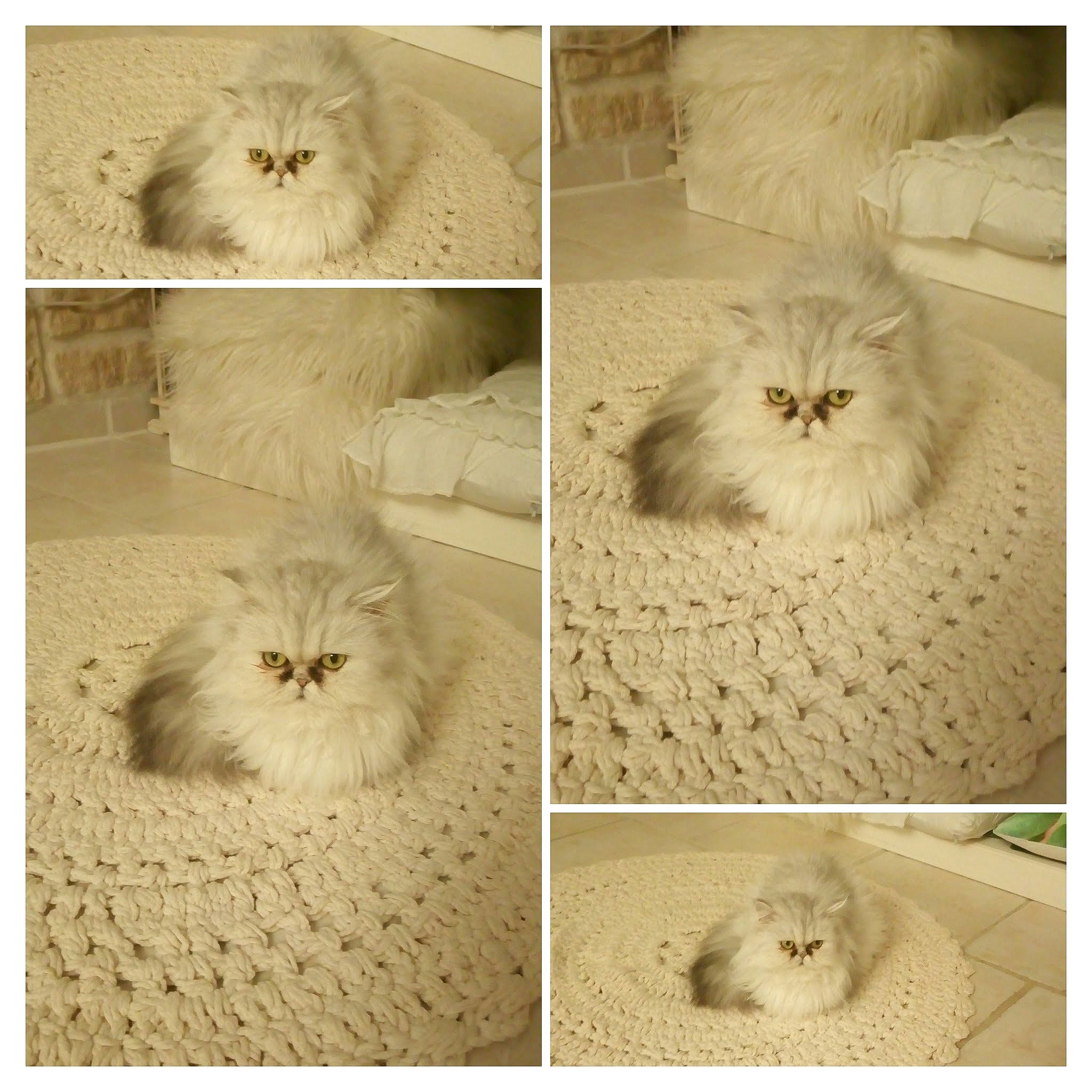 Malicia a rejoint le concours — aidez-le/la à gagner de superbes lots !