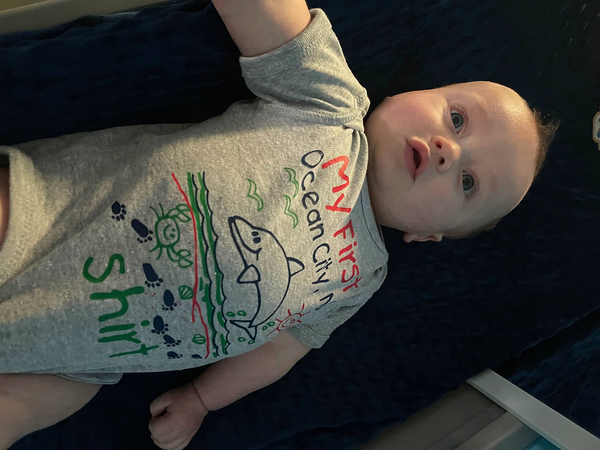 Wyatt is registered to the contest to win money with this photo: baby, baby_toddler_clothing, beauty, cheek, cool, elbow, eyelash, flash_photography, human_body, human_leg, joint, neck, pattern, person, sitting, skin, sleeve, t_shirt, tattoo, toddler