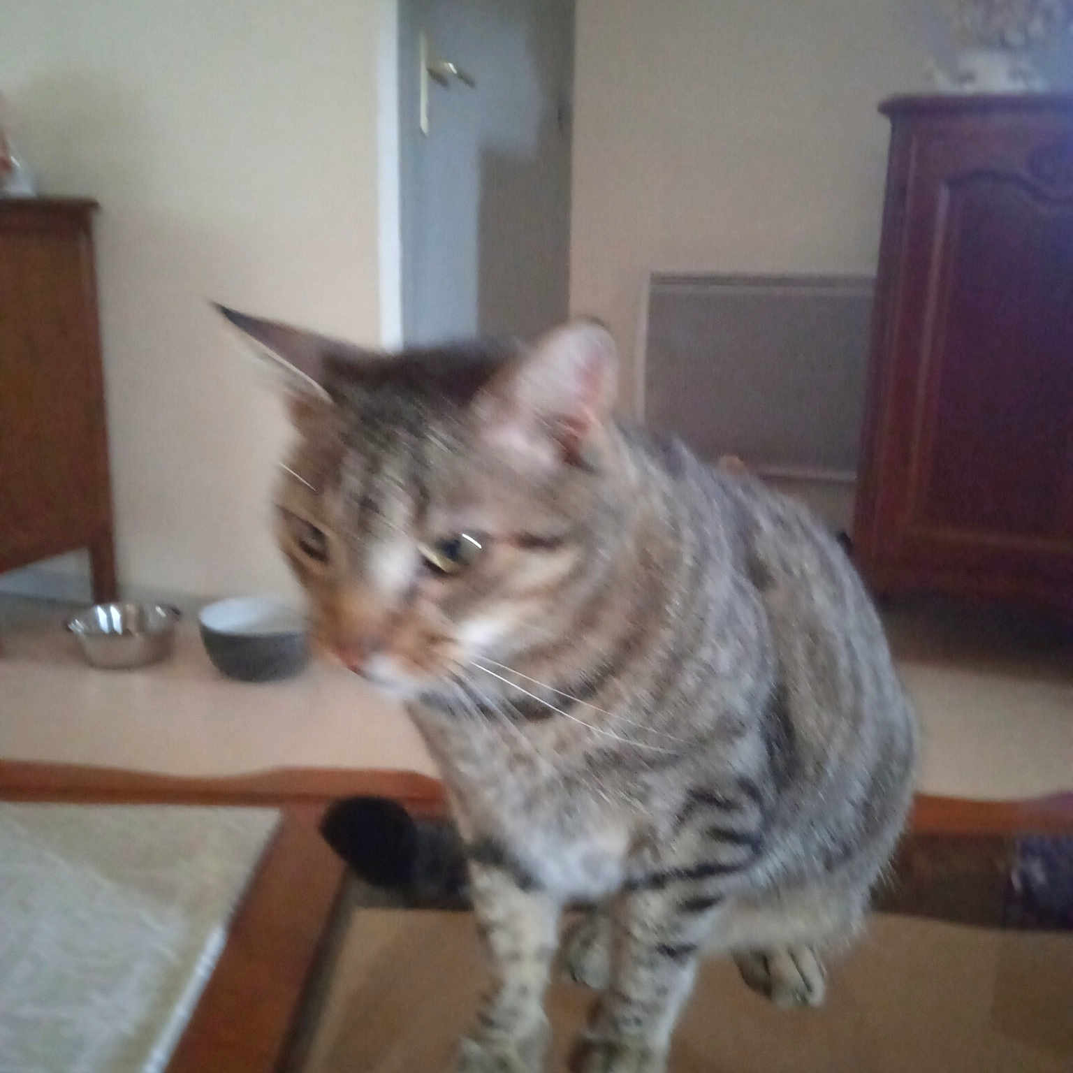 Mimi