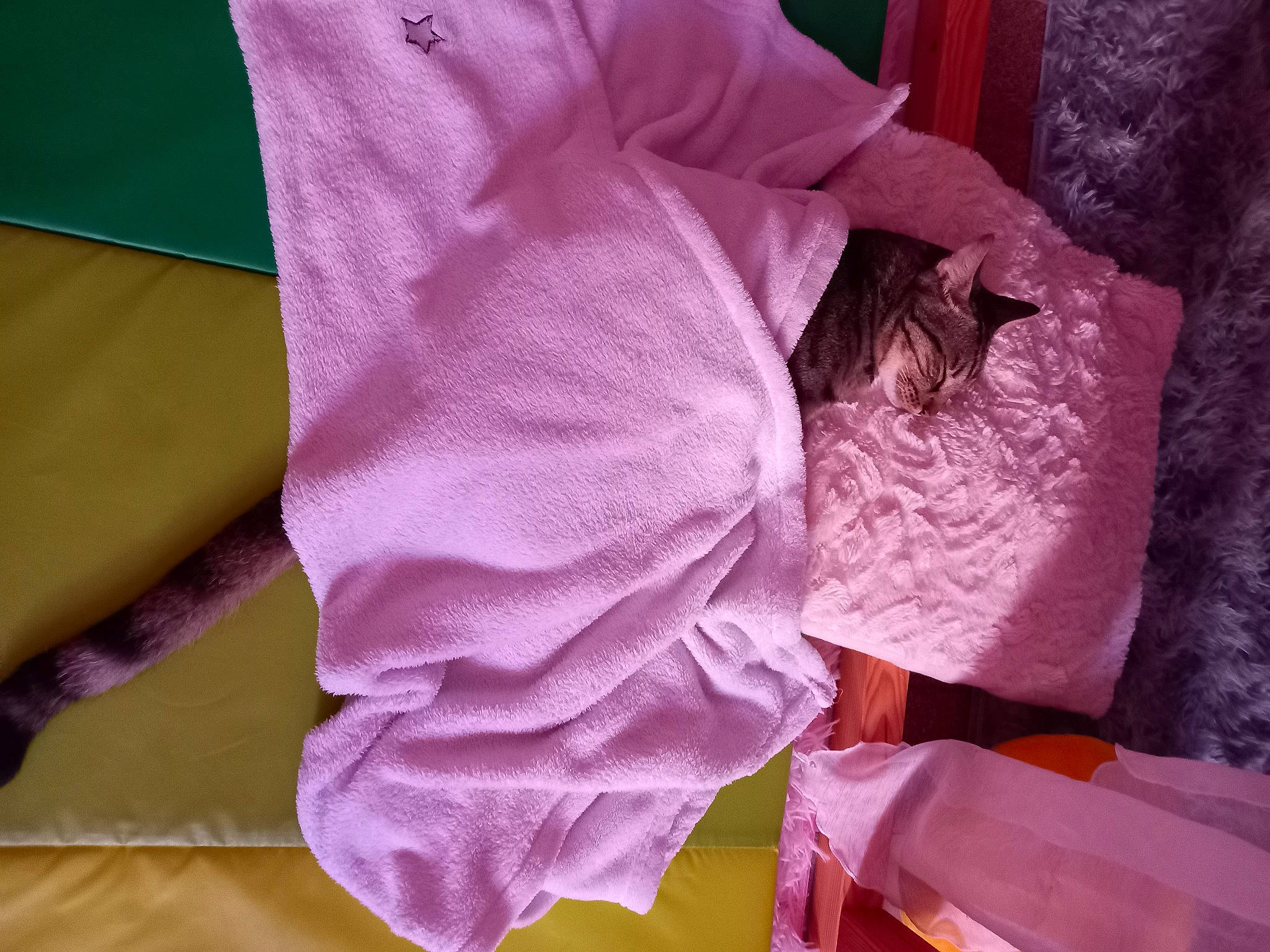 Tarzan a rejoint le concours — aidez-le/la à gagner de superbes lots ! baby_toddler_clothing, bed_sheet, comfort, fashion_accessory, human_leg, linens, magenta, pattern, peach, pink, purple, room, silk, sleeve, t_shirt, violet