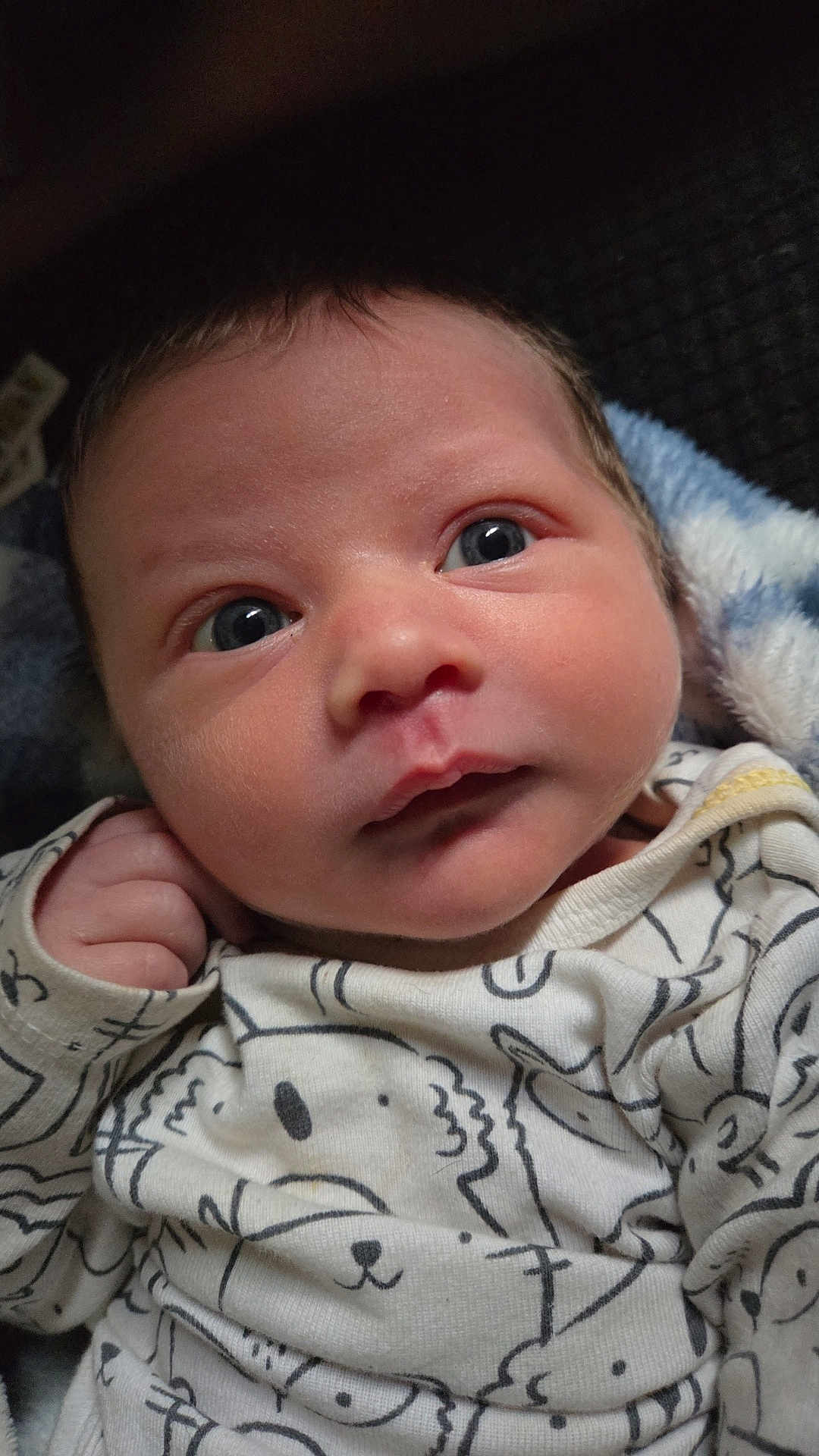 Colton