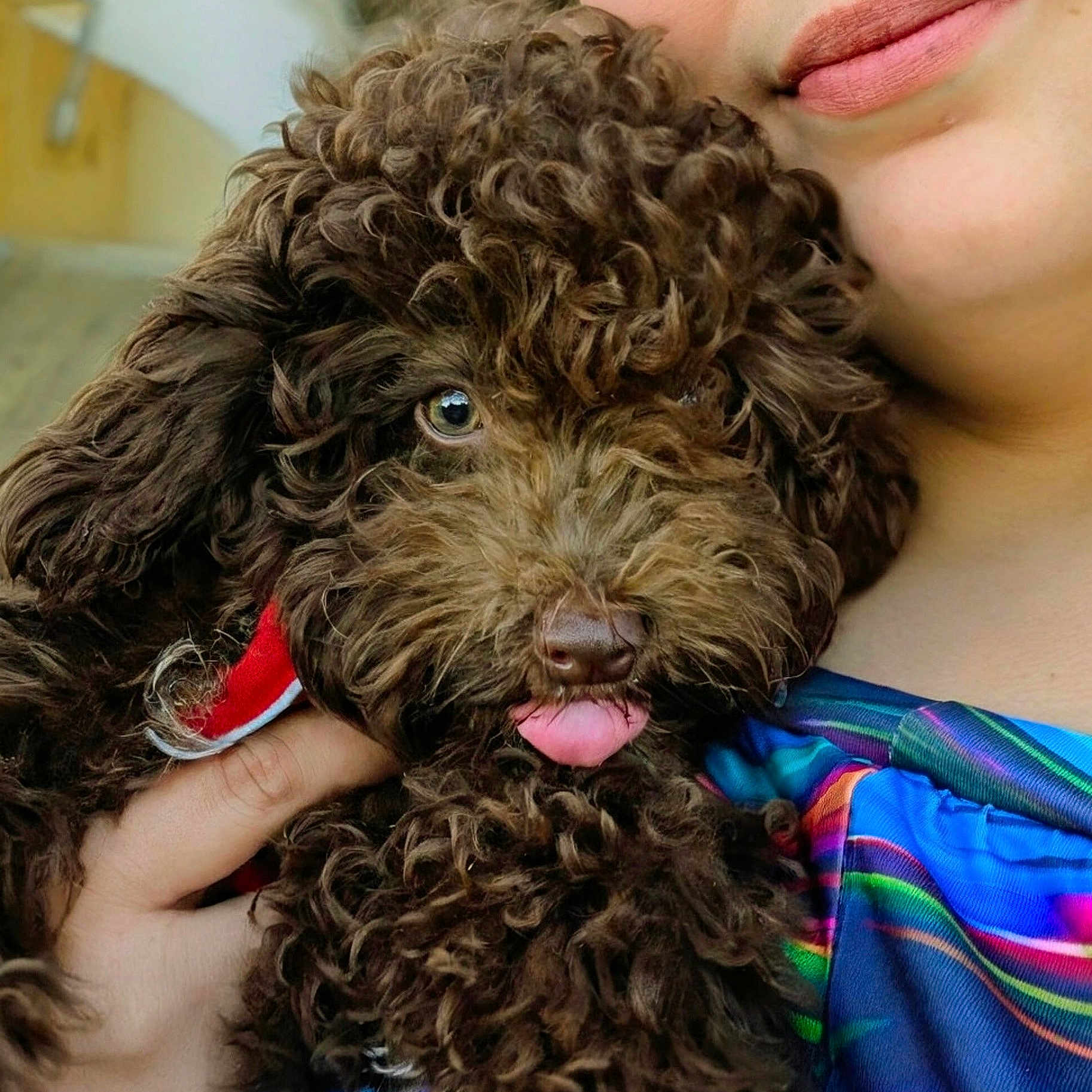 Milo
