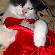 Dutchess joined the competition — help win amazing prizes!