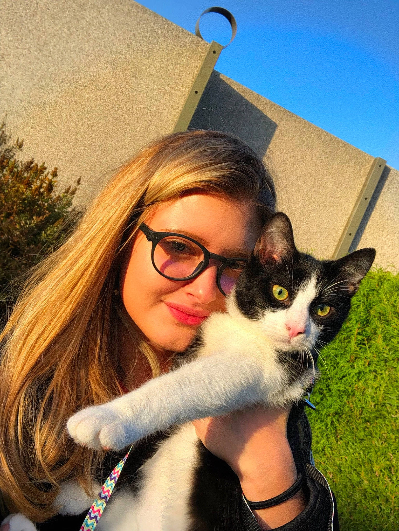 Pookie a rejoint le concours — aidez-le/la à gagner de superbes lots ! aegean_cat, carnivore, cat, domestic_short_haired_cat, eye, felidae, fur, glasses, long_hair, photography, small_to_medium_sized_cats, whiskers