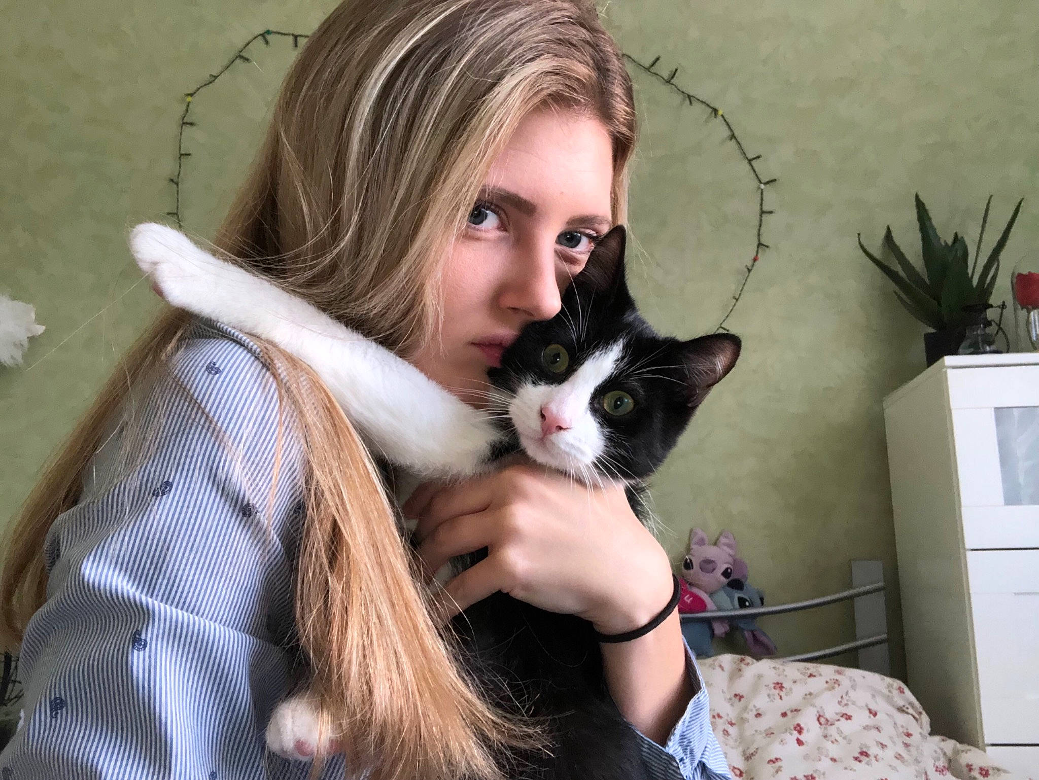 Pookie participe au concours pour gagner de l'argent avec cette photo : black_hair, brown_hair, carnivore, cat, domestic_short_haired_cat, eye, fawn, felidae, fur, hair, long_hair, small_to_medium_sized_cats, snout, whiskers