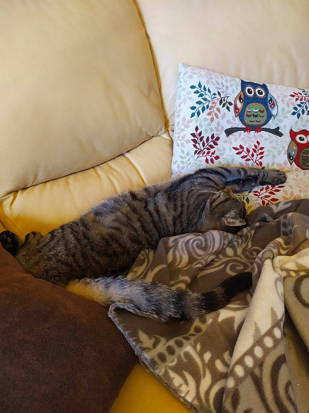 Tyson participe au concours pour gagner de l'argent avec cette photo : art, bed_sheet, bedding, carmine, comfort, cushion, fashion_accessory, fashion_design, flooring, font, linens, motif, pattern, pillow, rectangle, room, sleeve, textile, throw_pillow, visual_arts