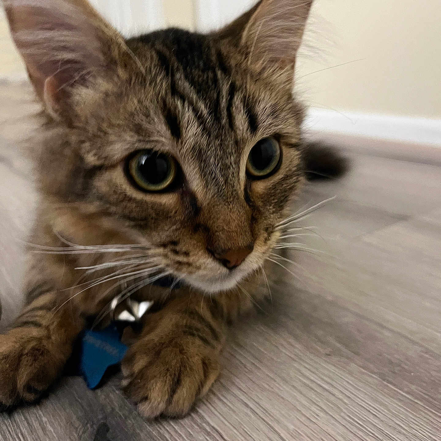 Astro