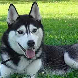 Ishka