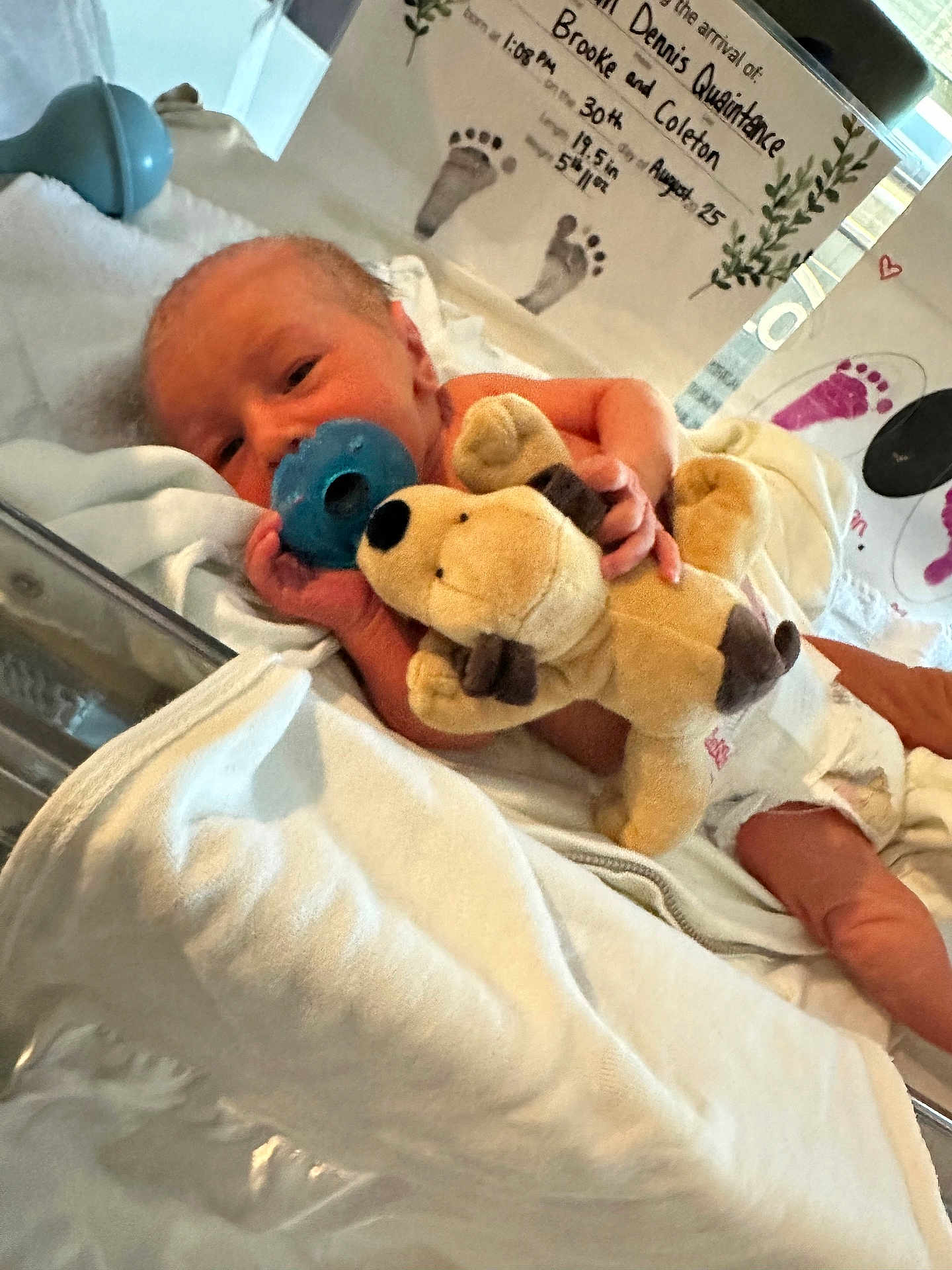 Rowan is registered to the contest to win money with this photo: newborn, baby, pacifier, plush_toy, hospital, blanket, footprints, birth_details, infant, sleeping, cute, tiny, diaper, hand, face, bed, soft_toy, wrapped, person, resting