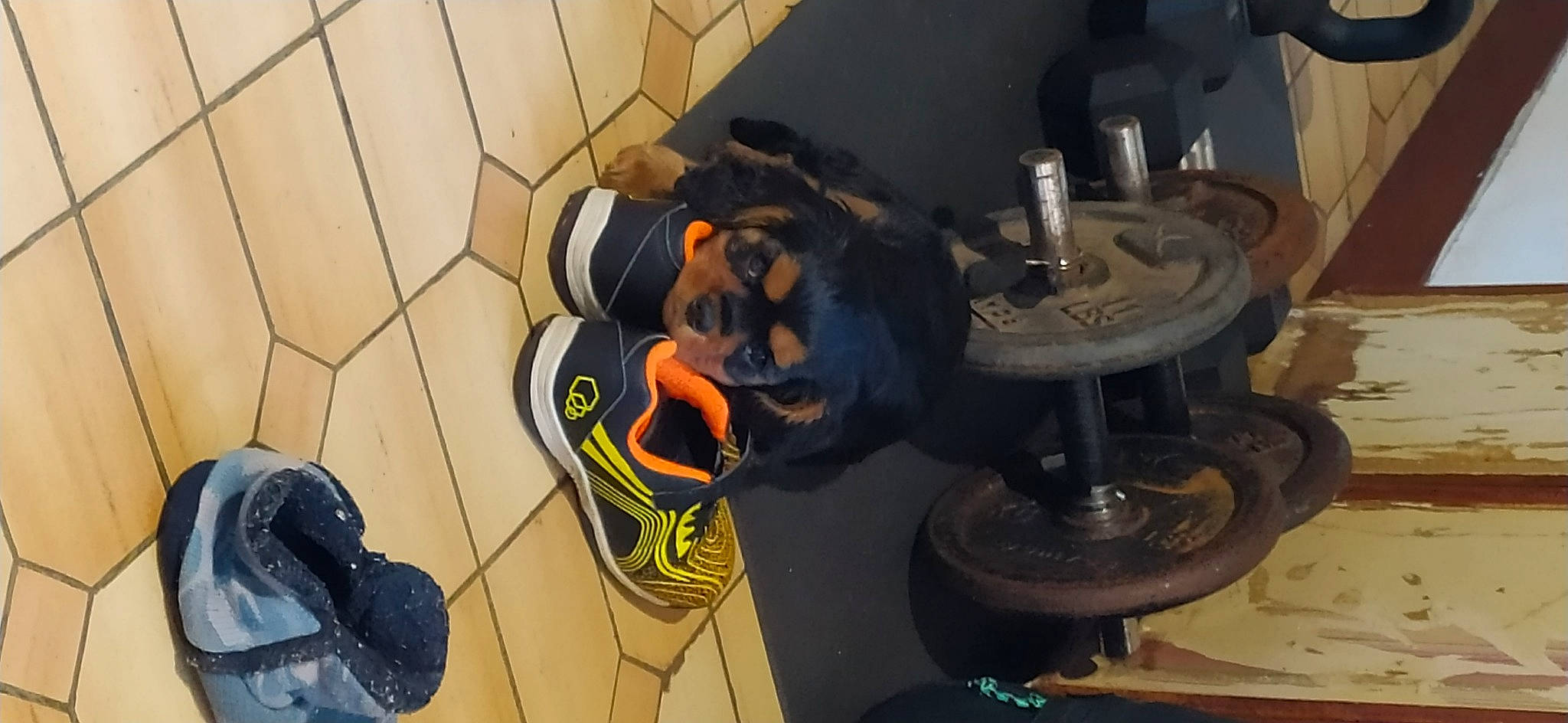 Burton participe au concours pour gagner de l'argent avec cette photo : athletic_shoe, audio_equipment, auto_part, carmine, cross_training_shoe, electrical_wiring, flooring, gas, hat, machine, metal, outdoor_shoe, personal_protective_equipment, room, walking_shoe, wire, wood