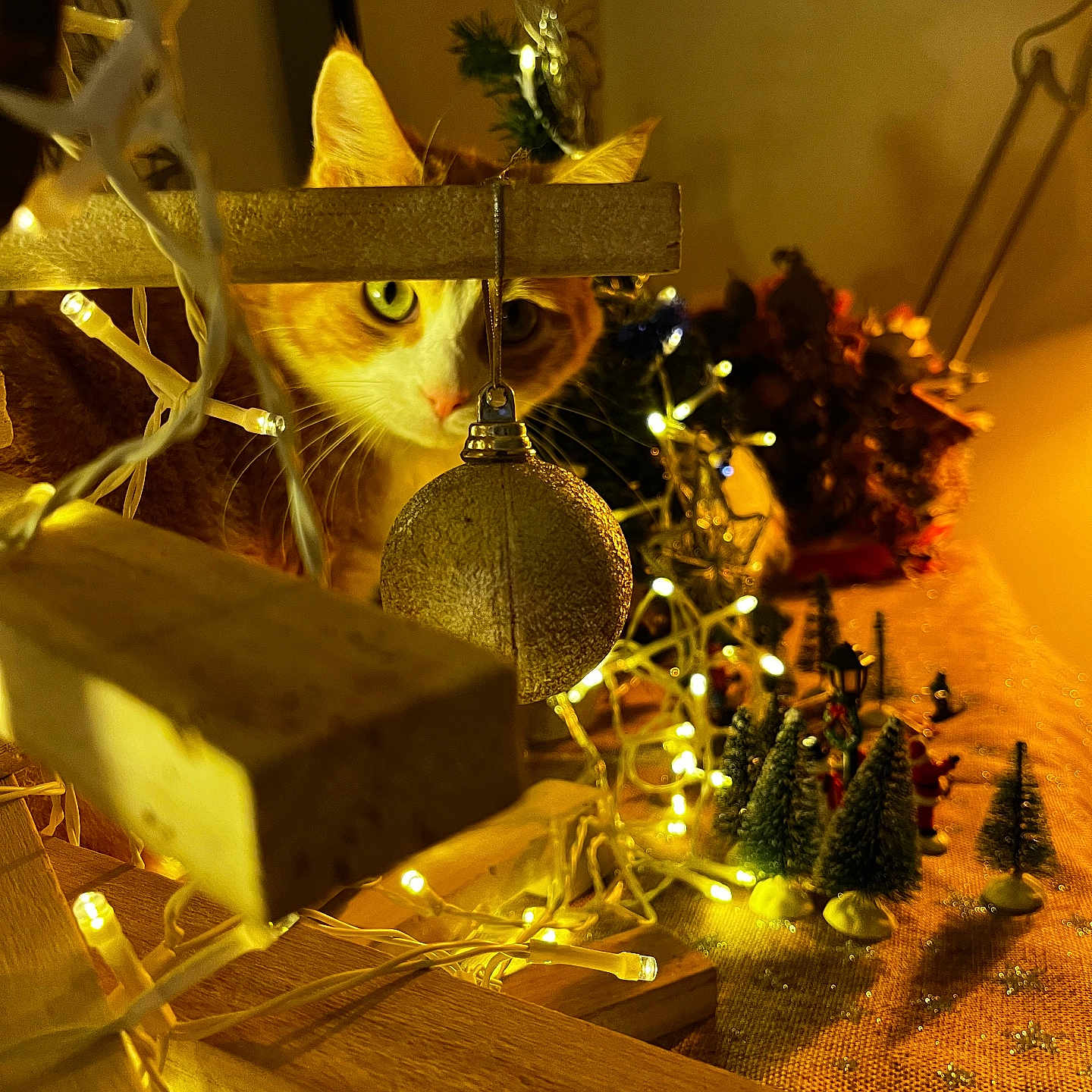 El Gato participe au concours pour gagner de l'argent avec cette photo : animal, background_blur, cat, christmas_ornament, christmas_scene, close_up, curious, decor, fairy_lights, festive, holiday_decorations, indoor, miniature_trees, night, orange_cat, pet, table, warm_lighting, white_cat, wooden_structure