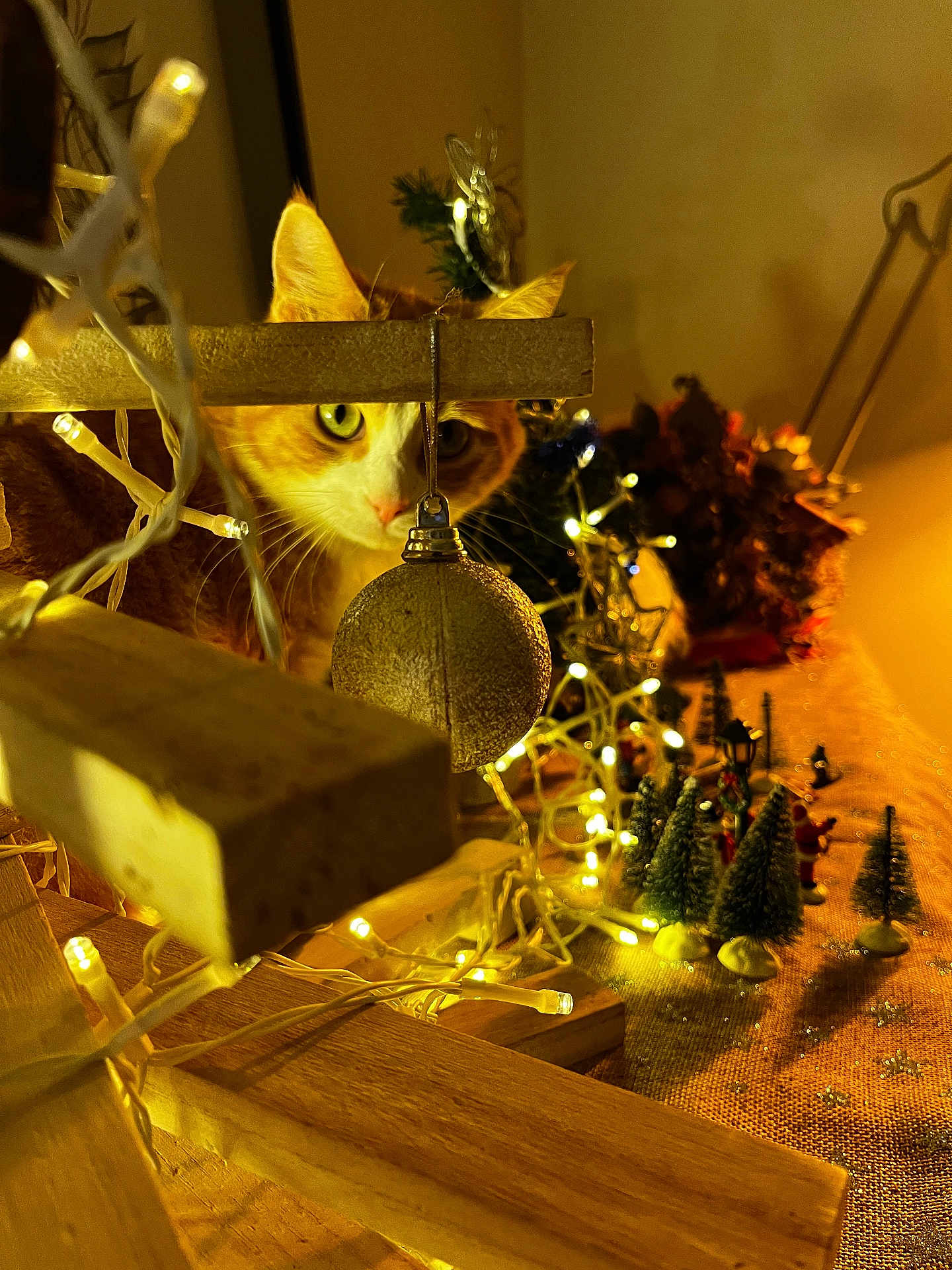 El Gato participe au concours pour gagner de l'argent avec cette photo : cat, orange_cat, white_cat, christmas_ornament, fairy_lights, wooden_structure, miniature_trees, holiday_decorations, table, indoor, festive, warm_lighting, decor, close_up, pet, curious, animal, christmas_scene, night, background_blur