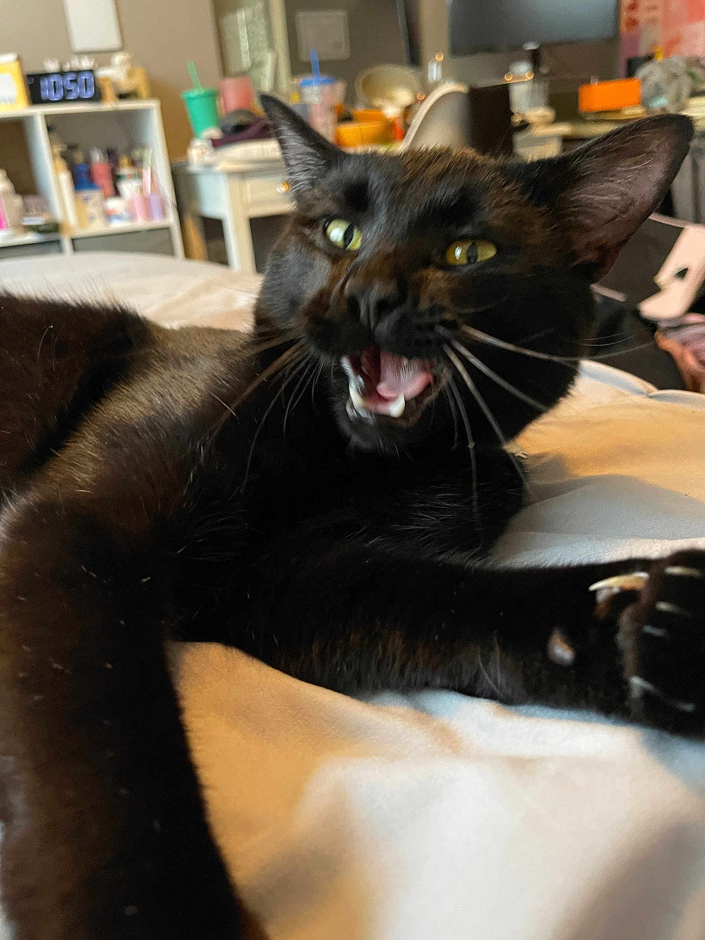 Salem