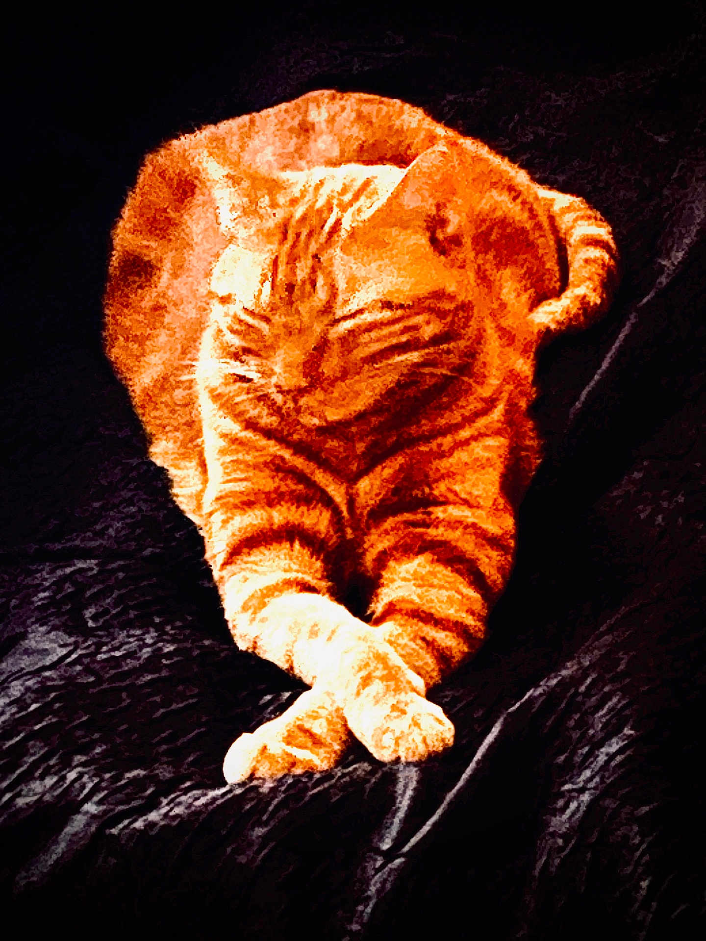 Cherlock participe au concours pour gagner de l'argent avec cette photo : cat, orange_tabby, animal, pet, feline, relaxed, crossed_paws, striped, fur, resting, cozy, portrait_style, dark_background, texture, whiskers, ears, tail, sleepy, cute, indoor