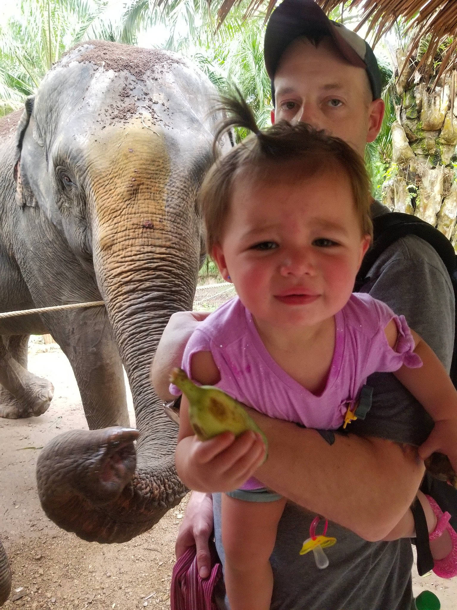 Priya is registered to the contest to win money with this photo: adaptation, african_elephant, child, elephants_and_mammoths, eye, fawn, indian_elephant, person, photography, skin, smile, temple, terrestrial_animal, toddler, vacation, wildlife, zoo