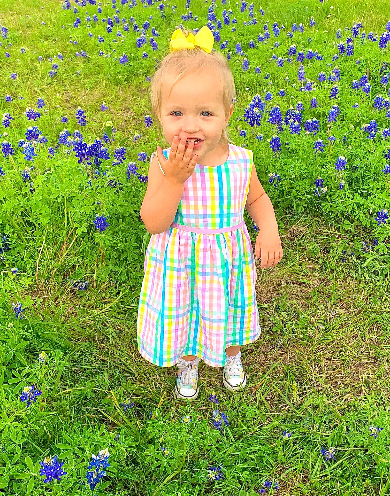 Addy Kay is registered to the contest to win money with this photo: baby_toddler_clothing, botany, child, electric_blue, flower, flowering_plant, grass, grassland, green, groundcover, happy, meadow, natural_environment, pattern, people_in_nature, person, plaid, plant, prairie, spring