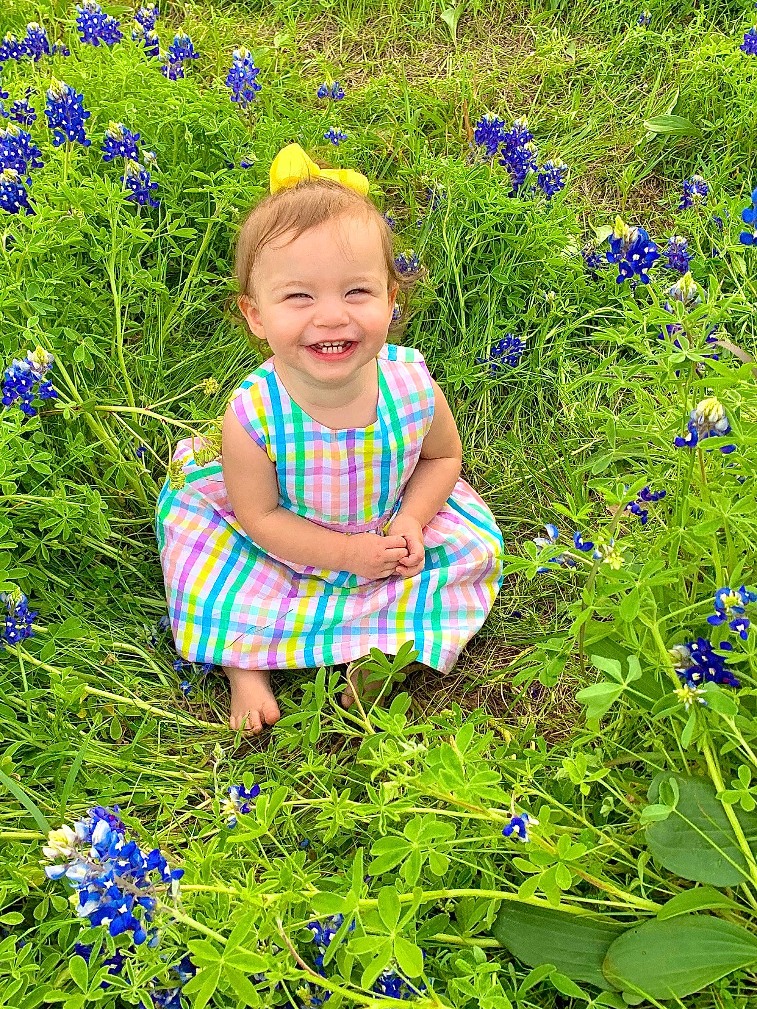 Avery joined the competition — help win amazing prizes! annual_plant, blue, botany, flower, flowering_plant, grass, grass_family, grassland, green, groundcover, happy, joy, meadow, natural_environment, people_in_nature, person, plant, purple, shrub, smile