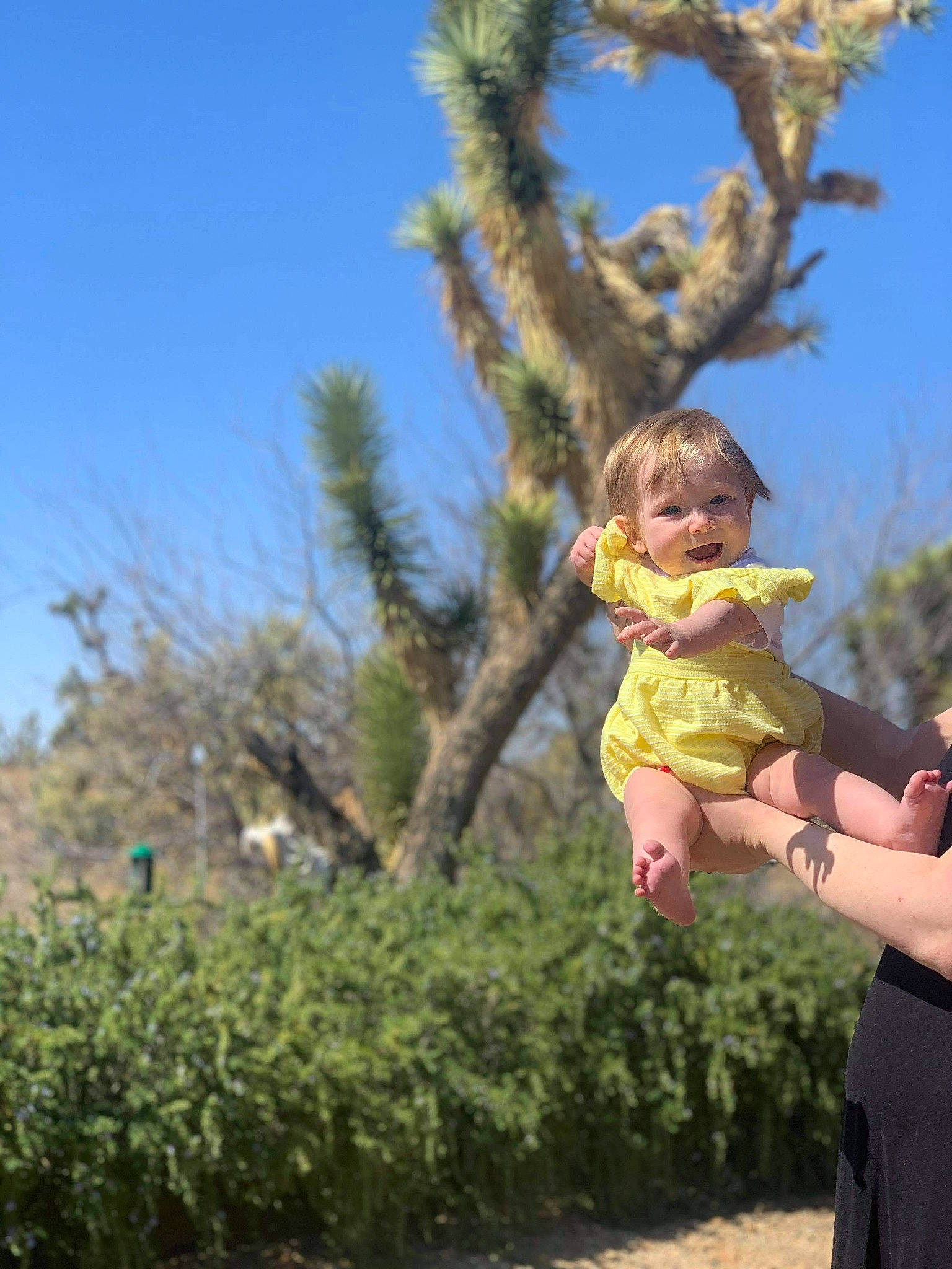 Addyson joined the competition — help win amazing prizes! arm, baby, baby_toddler_clothing, fun, grass, happy, landscape, leisure, natural_environment, people_in_nature, person, plant, recreation, shorts, sky, smile, t_shirt, toddler, travel, tree
