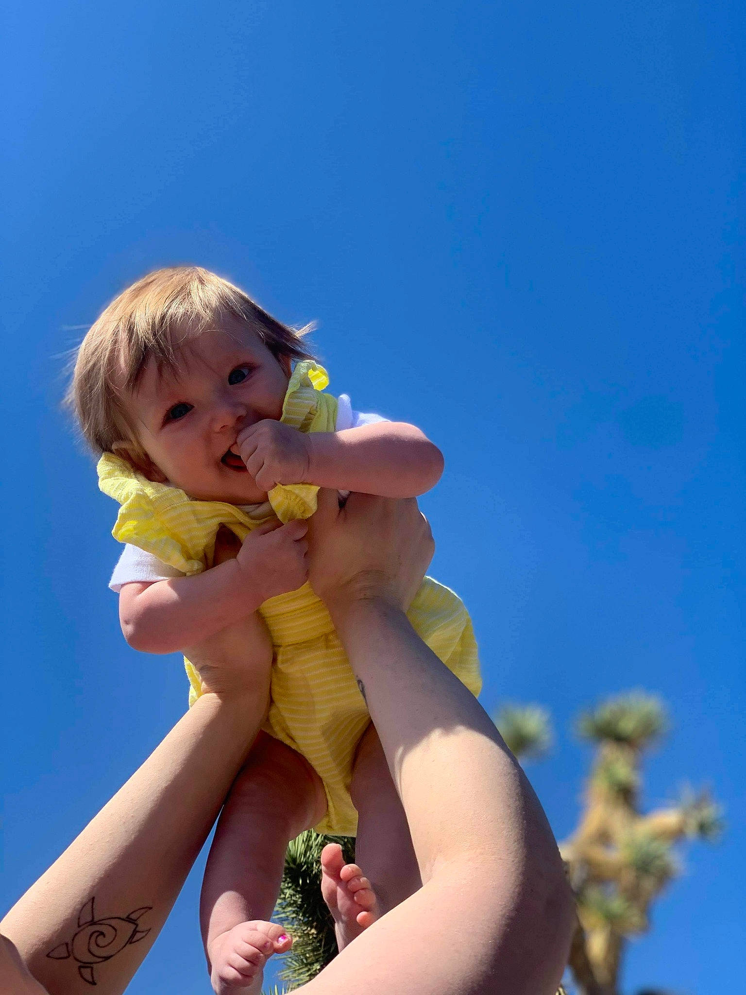 Addyson joined the competition — help win amazing prizes! doll, eye, flash_photography, gesture, grass, hair, hand, happy, head, human_body, nail, people_in_nature, person, plant, shoulder, skin, sky, sunlight, thigh, thumb