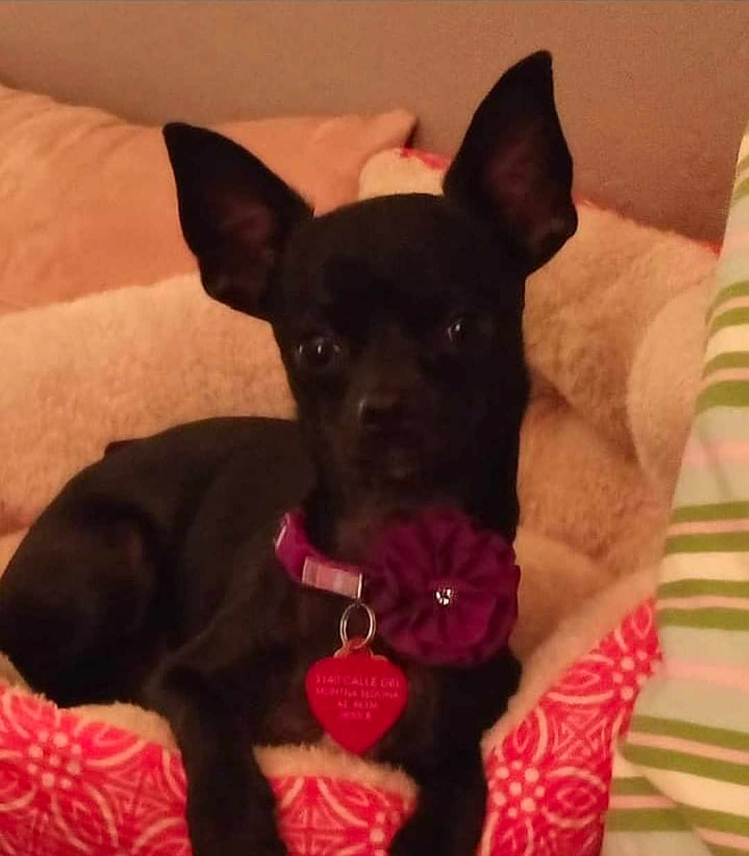 Daisymae