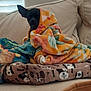 dog, blanket, couch, pet_bed, indoor, cozy, black_dog, small_dog, wrapped, soft, furniture, animal, resting, cute, ears, home, relaxed, comfort, snuggled, colorful_blanket