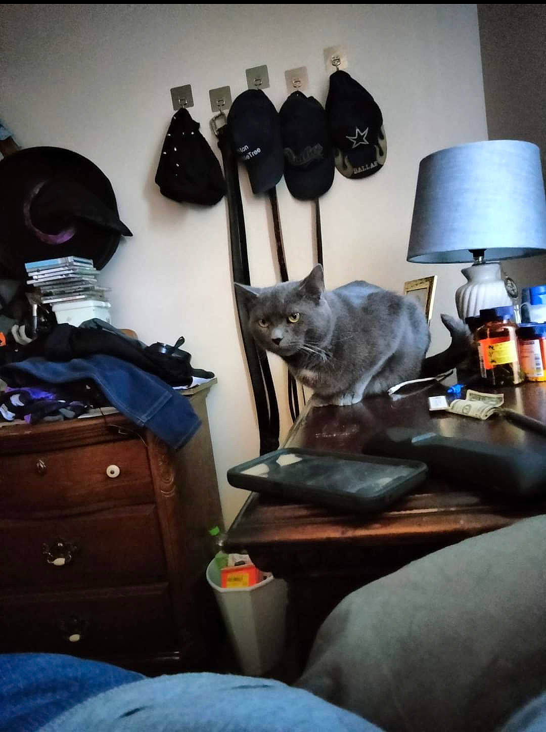 Fred joined the competition — help win amazing prizes! backpack, bag, baggage, bedroom, bottle, cabinetry, comfort, fashion_accessory, grey, hat, home_accessories, lamp, lampshade, light_fixture, linens, luggage_and_bags, personal_protective_equipment, room, shelving, textile