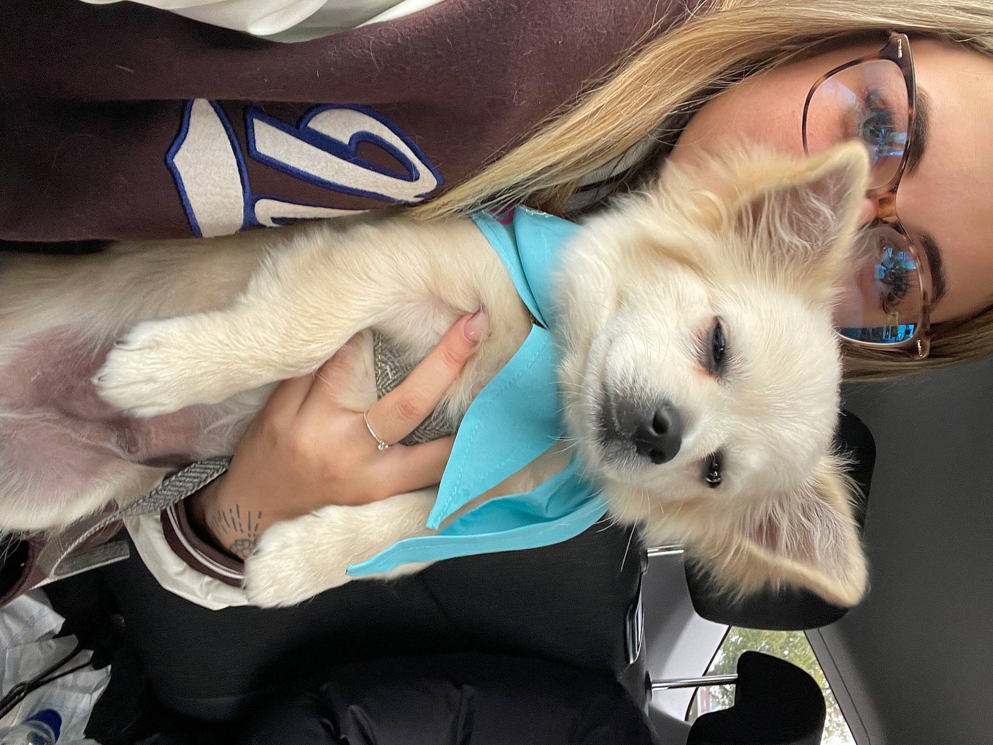 Beaux joined the competition — help win amazing prizes! canidae, carnivore, companion_dog, dog, dog_breed, eyelash, eyewear, fawn, felidae, fur, gesture, nail, plush, small_terrier, snout, sporting_group, stuffed_toy, toy, toy_dog, whiskers