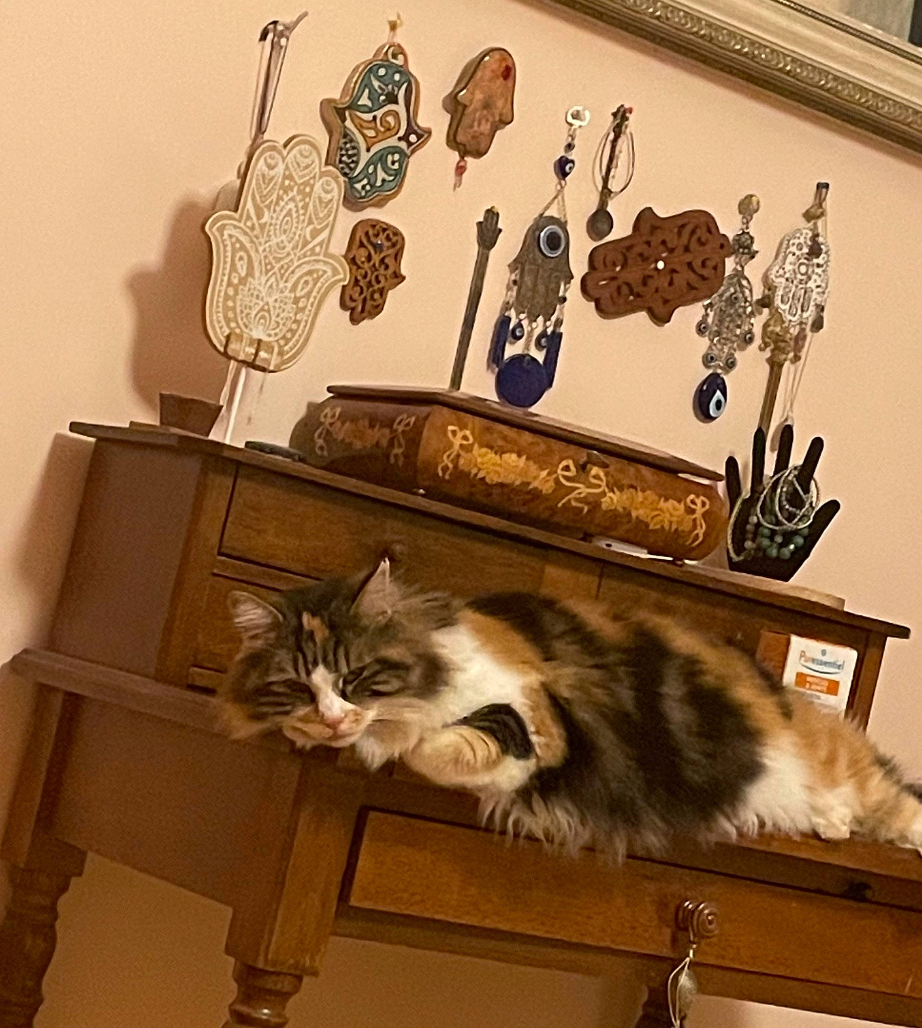 Maya participe au concours pour gagner de l'argent avec cette photo : art, brown, carnivore, cat, domestic_short_haired_cat, felidae, fur, grey, hardwood, interior_design, lamp, living_room, picture_frame, rectangle, room, shelving, small_to_medium_sized_cats, tail, whiskers, wood