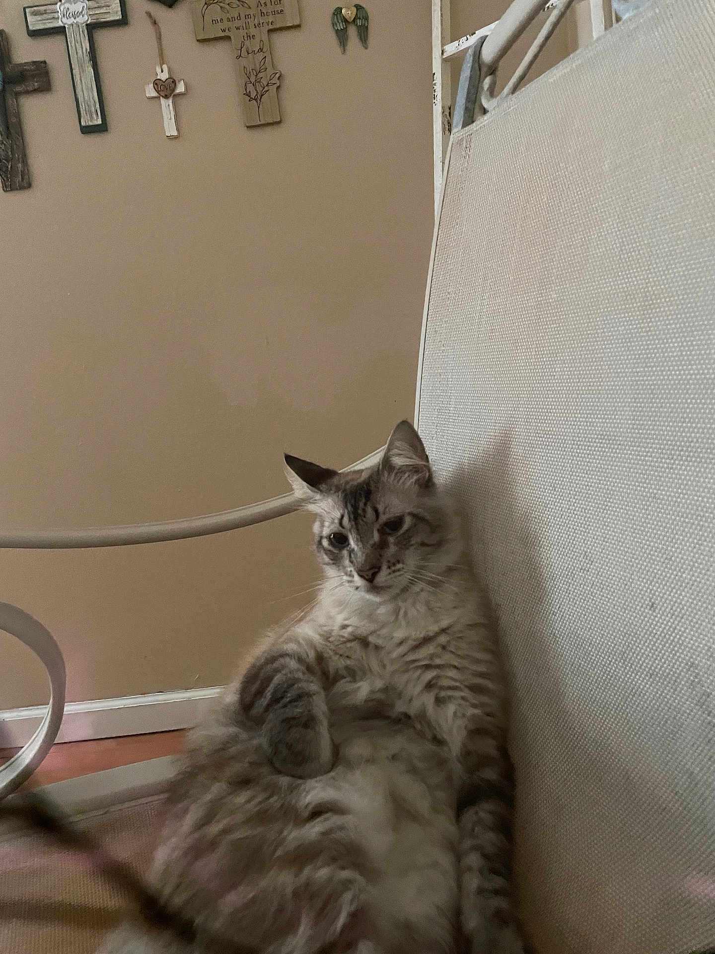 Jinx