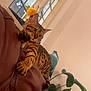Simba is registered to the contest to win money with this photo: bengal_cat, cat, leather_couch, indoor, window, flower, yellow_flower, vase, plant, green_plant, pet, animal, feline, fur_pattern, spotted, striped, curious, relaxed, home, daylight