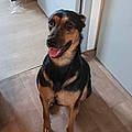 Stella P.
