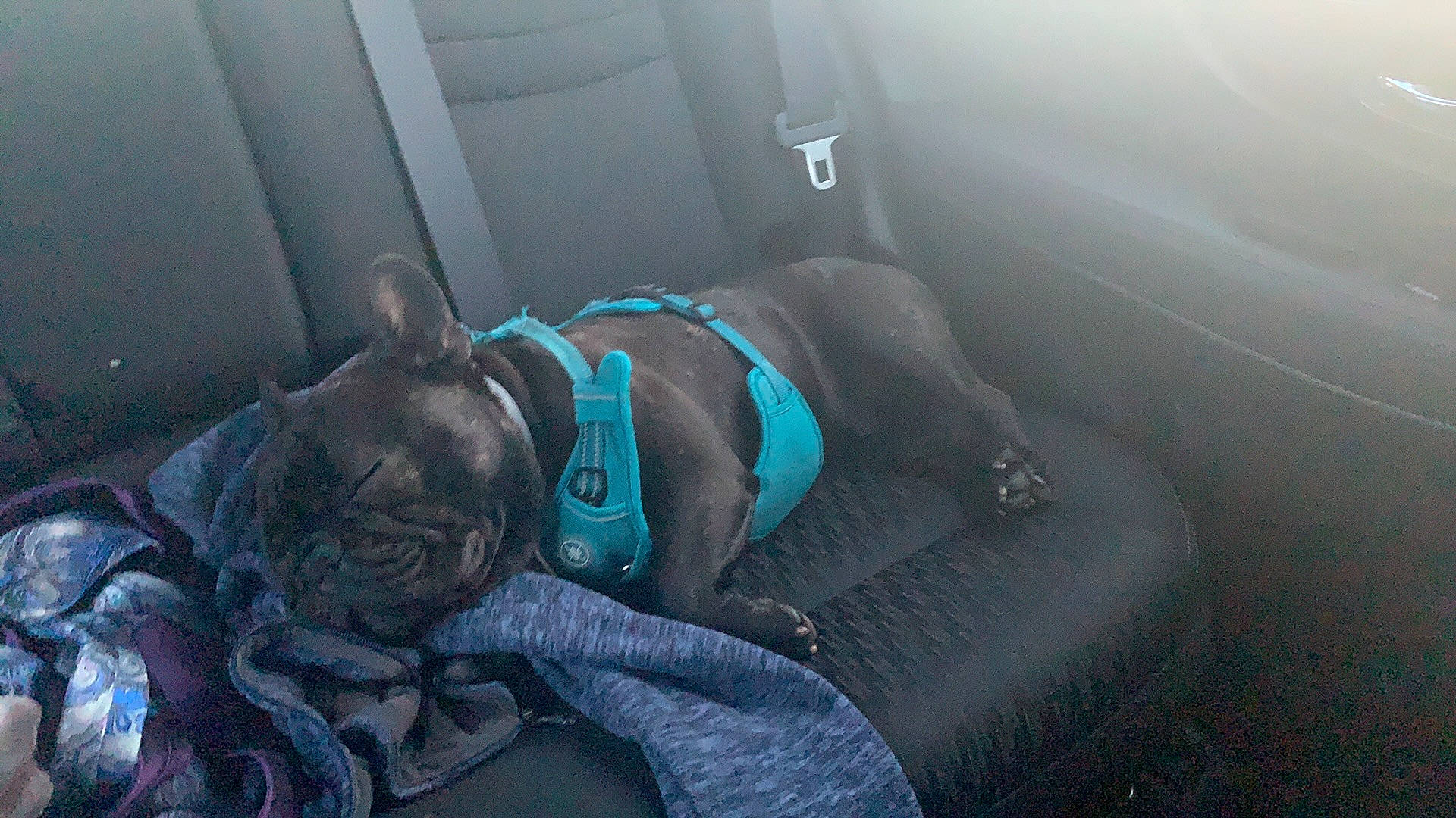 Gronk joined the competition — help win amazing prizes!