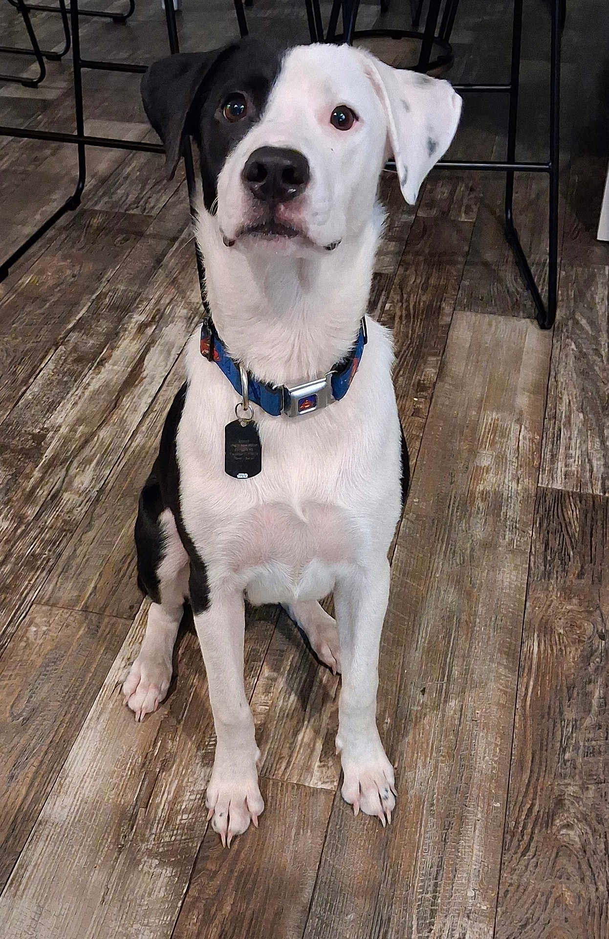 Krypto