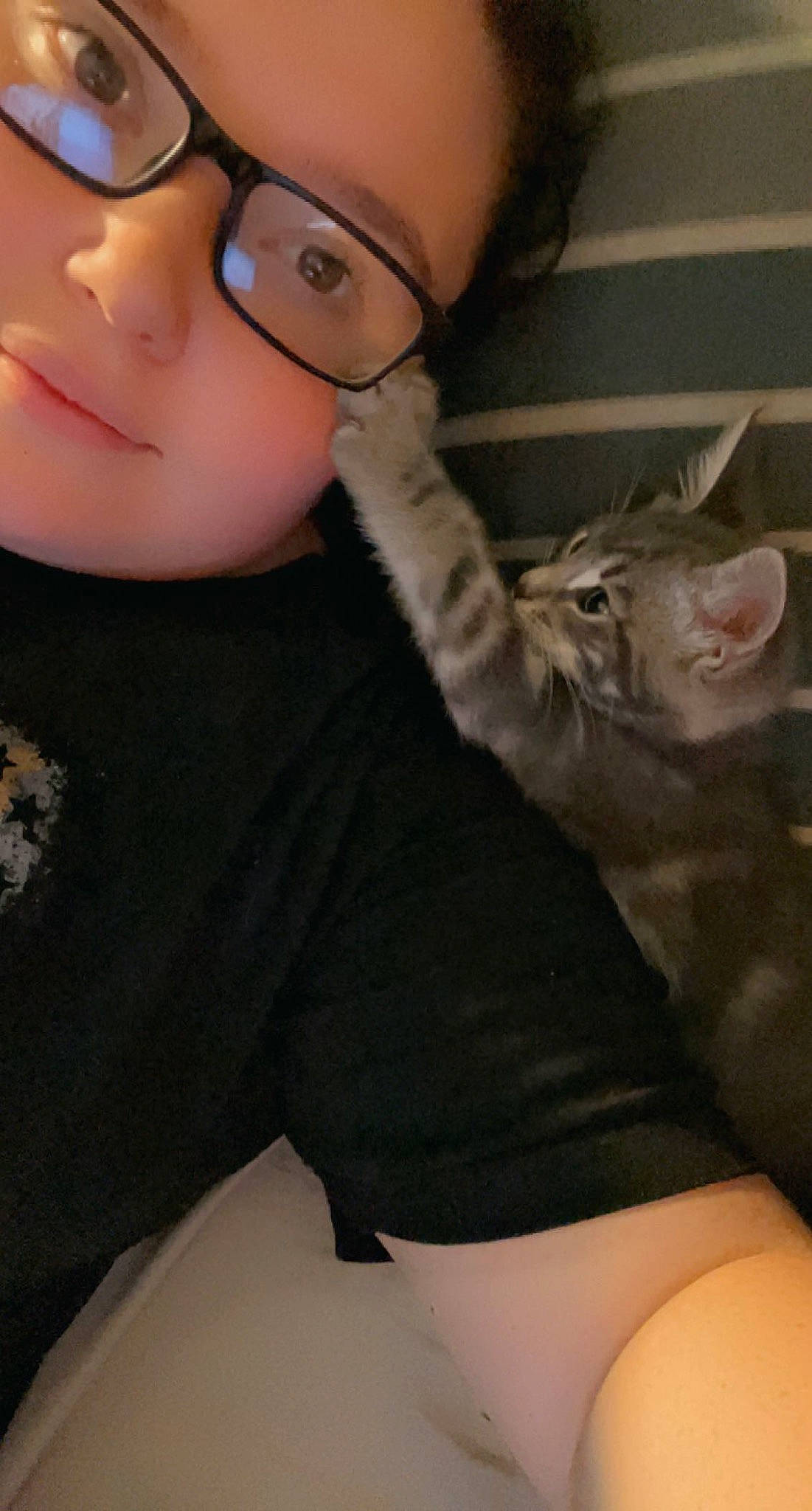 Milo Jr is registered to the contest to win money with this photo: cap, carnivore, cat, domestic_short_haired_cat, ear, eye, eyelash, eyewear, fawn, felidae, fur, gesture, glasses, iris, nose, organ, personal_protective_equipment, small_to_medium_sized_cats, vision_care, whiskers