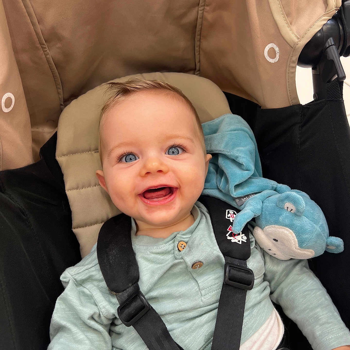 Timéo participe au concours pour gagner de l'argent avec cette photo : baby, baby_toy, blue_eyes, blue_plush, buttoned_shirt, child, childhood, clothing, cute, happy, indoor, infant, person, plush_toy, portrait, safety_harness, seat, smiling, straps, stroller