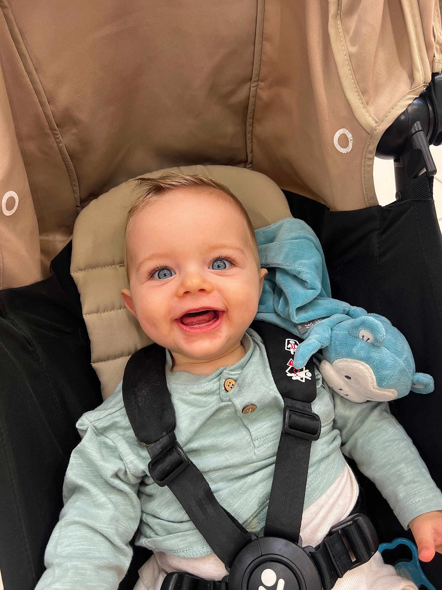 Timéo participe au concours pour gagner de l'argent avec cette photo : baby, child, blue_eyes, smiling, stroller, safety_harness, plush_toy, blue_plush, clothing, buttoned_shirt, happy, infant, seat, straps, cute, portrait, indoor, childhood, person, baby_toy