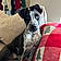 Charlie