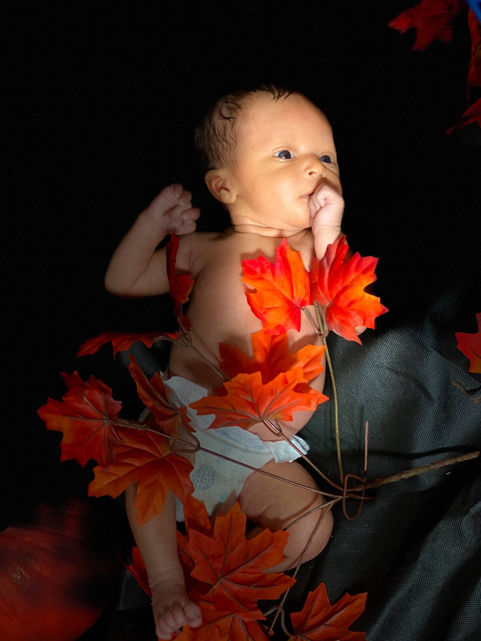 Kartier joined the competition — help win amazing prizes! child, costume, cut_flowers, flower, leaf, orange, peach, perennial_plant, person, petal, photography, plant, portrait, smile, toddler