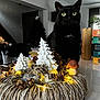 Pepsi a rejoint le concours — aidez-le/la à gagner de superbes lots ! black_cat, cat, animal, indoor, holiday_decor, centerpiece, ceramic_tree, pinecone, mushroom_ornament, fairy_lights, table, modern, plant, box, bag, door, staircase, window, cozy, yellow_eyes