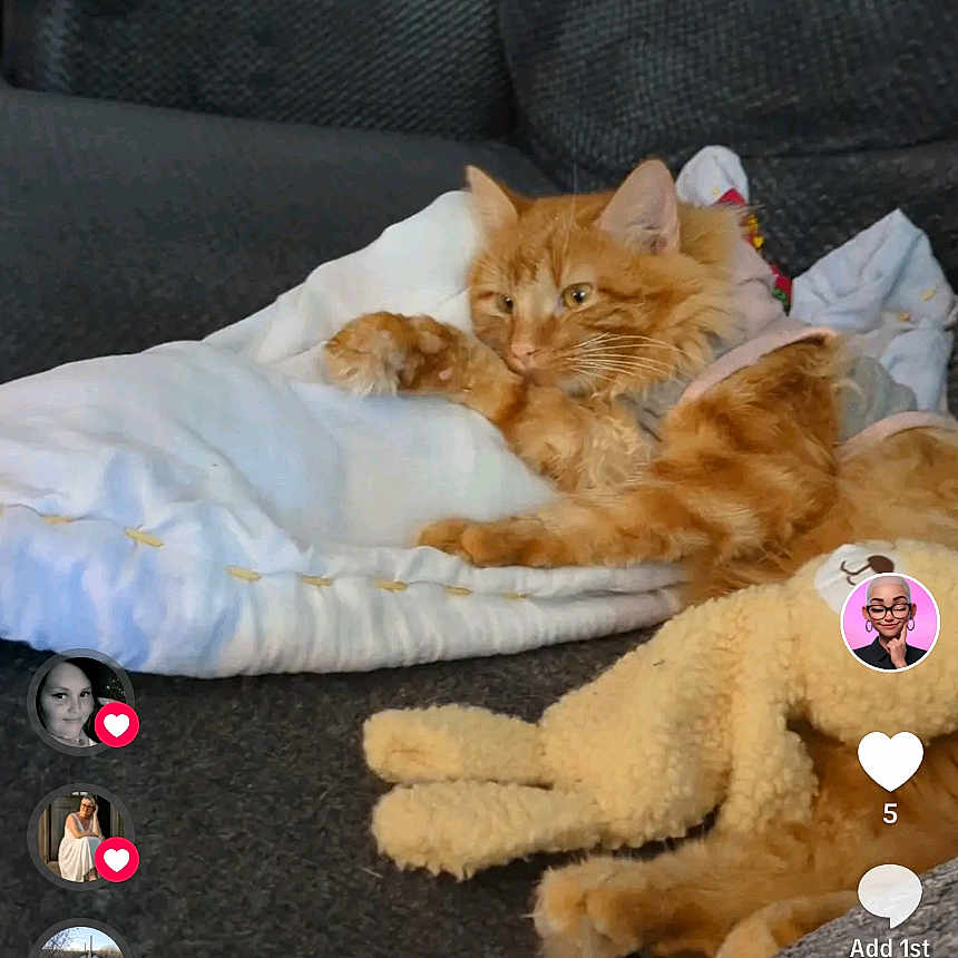 Simba