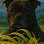 dog, black_dog, plant, potted_plant, mountains, sunset, nature, landscape, greenery, leaves, outdoor, scenic, animal_portrait, serene, calm, closeup, grass, flora, art, painting