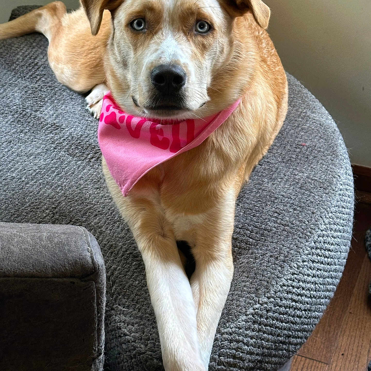 Oakley
