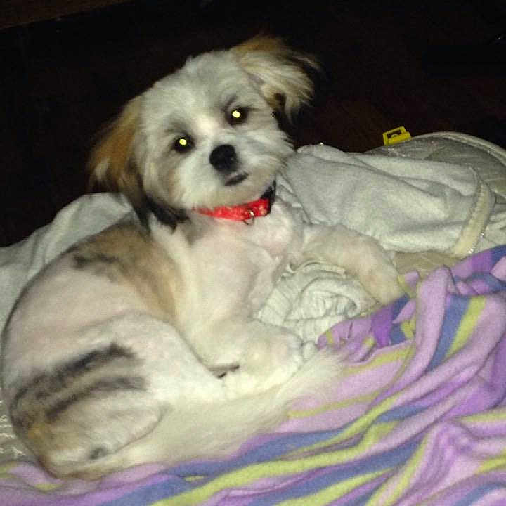 Marley joined the competition — help win amazing prizes!