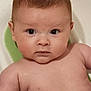 baby, infant, face, skin, wet, bath, bathtub, child, water, young, expression, looking, curious, naked, seat, head, arms, human, indoors, portrait