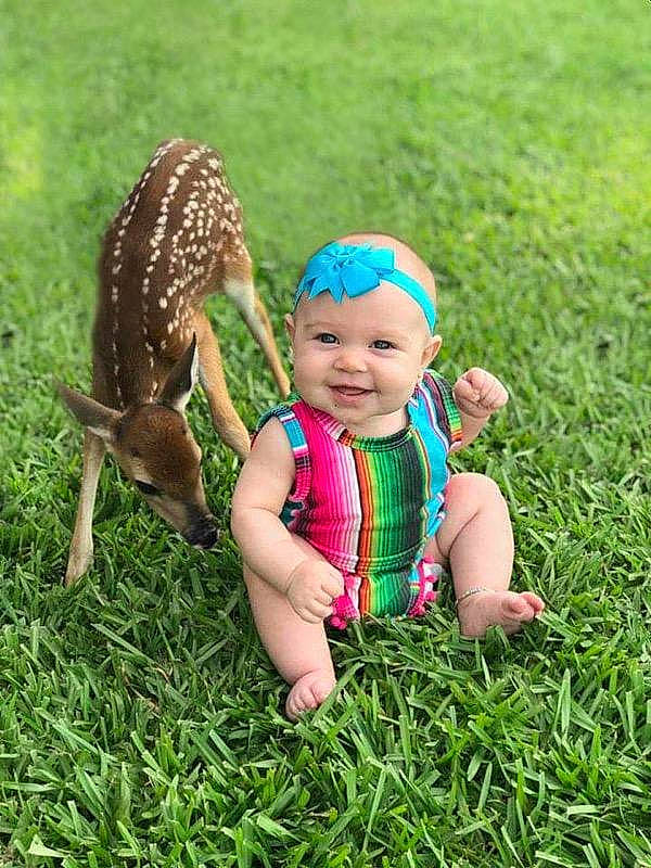 Haizley joined the competition — help win amazing prizes! adaptation, baby, canidae, child, fawn, grass, grass_family, happy, headwear, joy, lawn, people, person, plant, play, toddler, vacation
