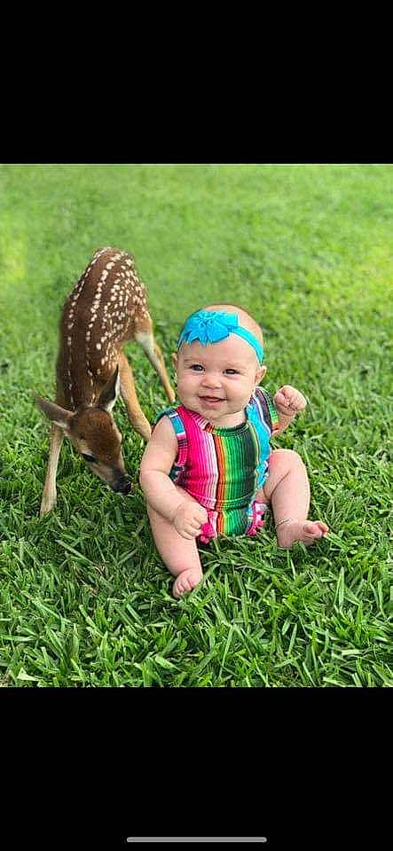 Haizley Steinhilber joined the competition — help win amazing prizes! adaptation, baby, beanie, canidae, cap, child, fashion_accessory, fawn, grass, headgear, joy, lawn, person, plant, play, sporting_group, toddler