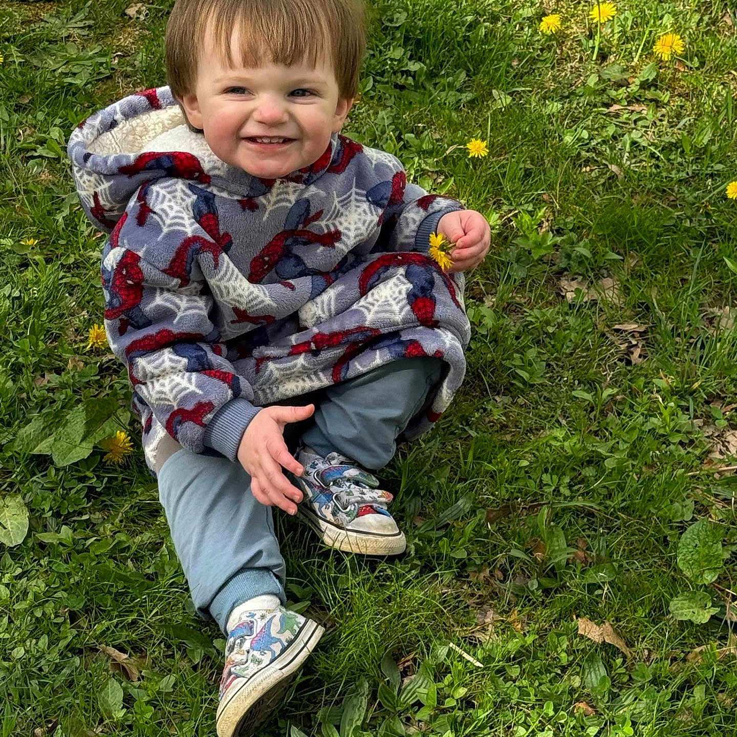 Alaric joined the competition — help win amazing prizes! casual_clothing, child, cute, dandelion, daylight, dinosaur_shoes, flower, grass, green_grass, happy, hoodie, nature, outdoor, playful, sitting, smiling, sneakers, spiderman, toddler, young_child