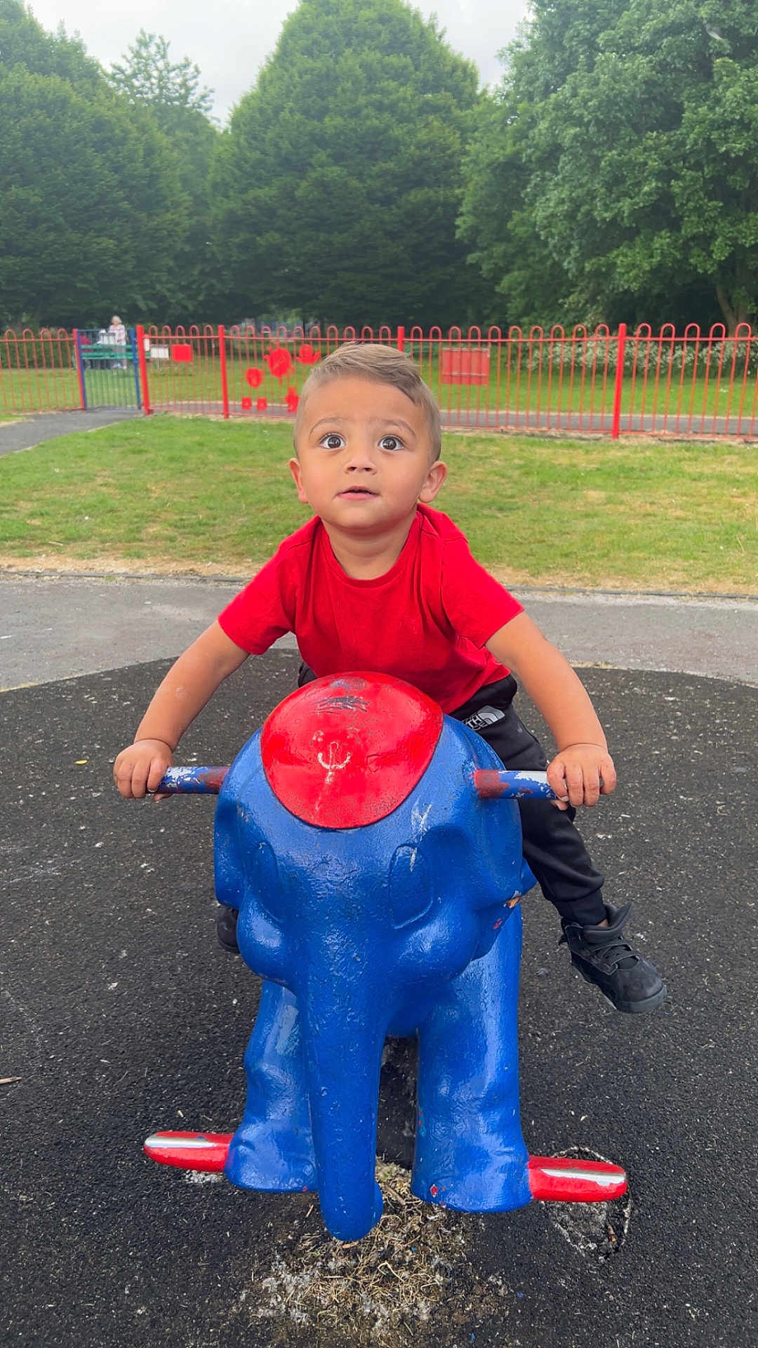 Amarni joined the competition — help win amazing prizes! blue_elephant, casual_clothing, child, curious, daylight, elephant, expression, fence, footwear, grass, outdoor, park, play, playground, red_shirt, rocker, toddler, toy, trees, young_child