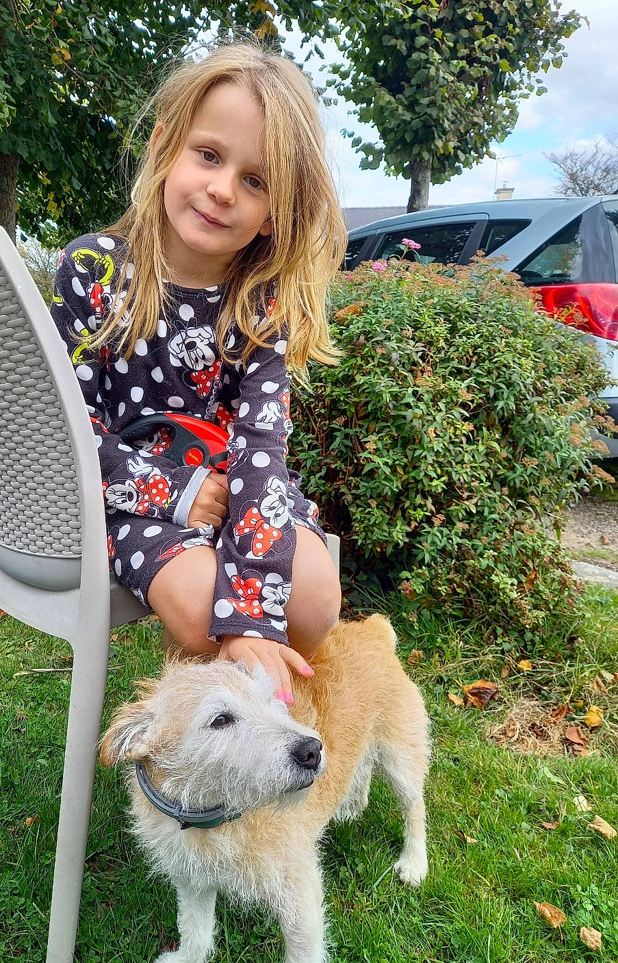 Paula participe au concours pour gagner de l'argent avec cette photo : carnivore, chair, companion_dog, dog, dog_breed, fawn, flower, grass, green, joy, lawn, person, plant, sitting, sky, smile, sporting_group, summer, tire, toddler